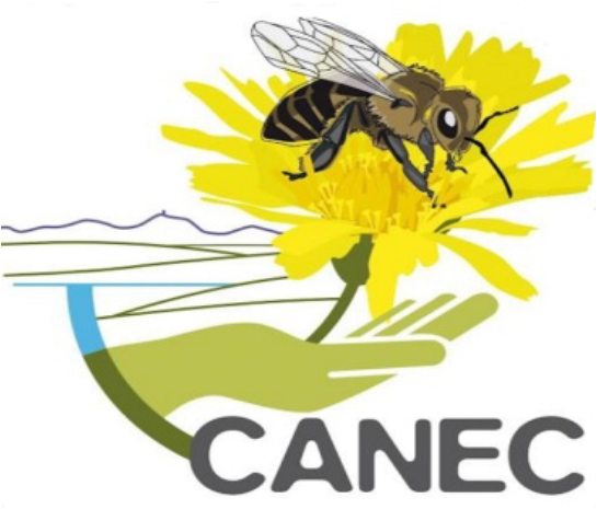 abeilha-logo-canhec